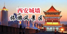 黑大吊中国陕西-西安城墙旅游风景区